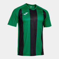Tricou sport Joma Inter IV, Verde / Negru