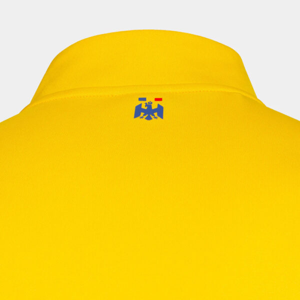 Trening oficial FRF Nationala Romaniei, Galben - prezentare - imagine 8