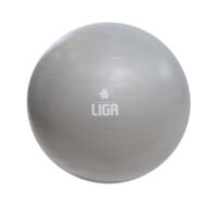 Minge fitness Ligasport, Gri (Ø 65 cm)