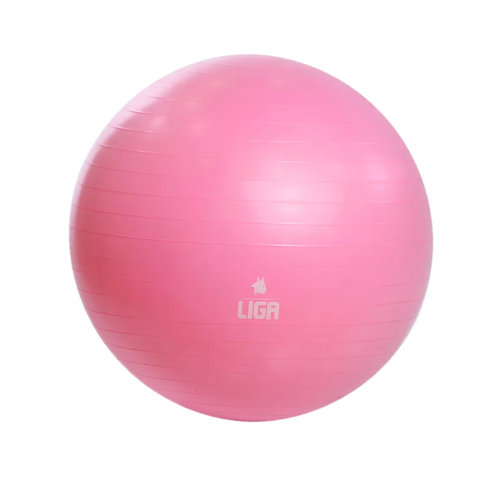 Minge fitness Ligasport, Roz (Ø 55 cm) - imagine 1