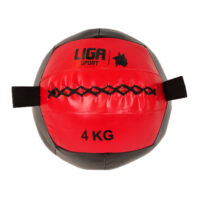 Minge wall ball Ligasport (4 kg)