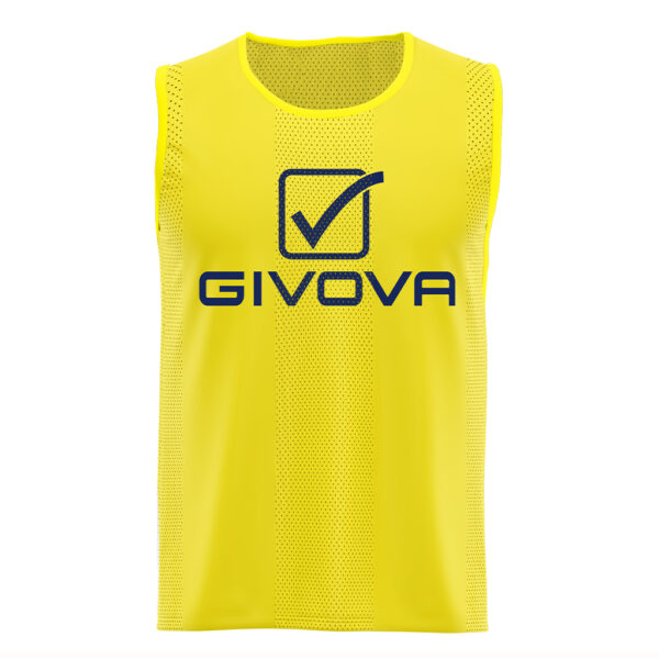 ct01_0007-jpg.webp Vesta antrenament Givova Pro, Galben - imagine 1