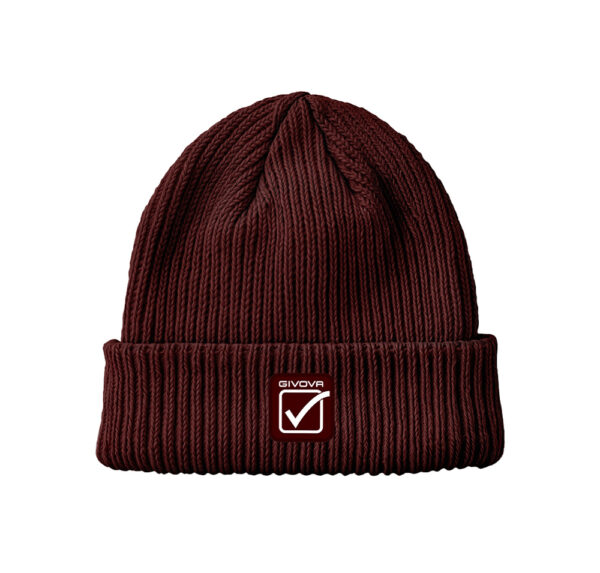 acc68_0008 Fes Givova Alaska, Visiniu - imagine 1