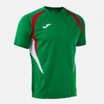 Tricou sport Joma Championship 20, Verde / Rosu - imagine 2