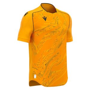 Galben Chihlimbar / Negru